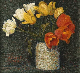 Tulipe