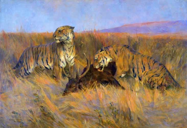 Tigres à la chasse
