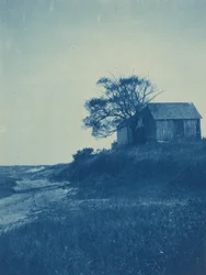 Wellfleet, Cape Cod, 1904 (photo)