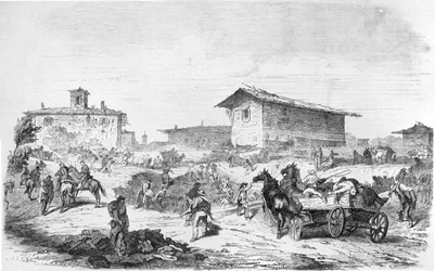 Bataille de la fuchsine basique 1859