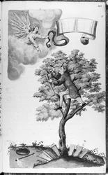 Folio 28 codex 11134