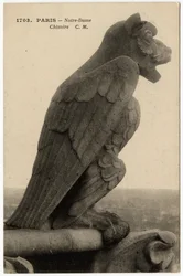 Gargouille ou chimère de la cathédrale Notre-Dame de Paris, construite entre 1163 et le XIVe siècle - Carte postale, collection Selva