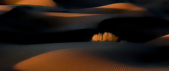 Les dunes du désert à l