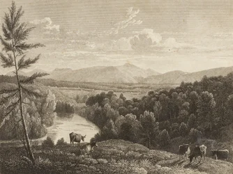 Montagnes Catskill