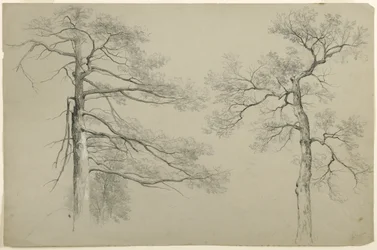 Étude de Deux Arbres, Hague, Lake George, New York, 1862