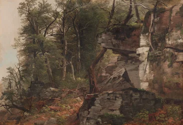 Arbres sur une colline rocheuse