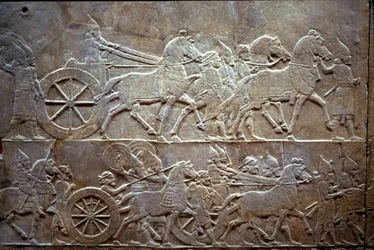 Assurbanipal à la bataille de Til-Tuba, 650-620 av. J.-C.