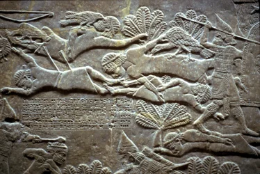 Assurbanipal à la bataille de Til-Tuba, 650-620 av. J.-C.