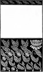 Conception de couverture de Nobody