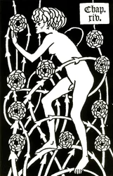 Hermaphrodite parmi les roses de Le morte d