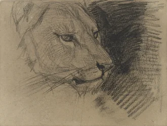 Tête de lion