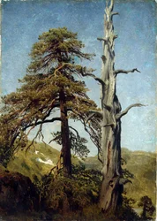 Étude d