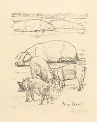 Cochons