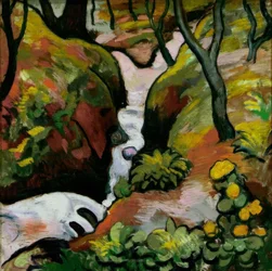 Ruisseau forestier