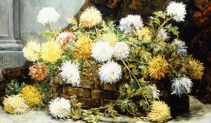 Chrysanthèmes dans un panier