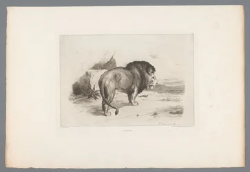 Lion (série: Eaux-fortes françaises de 1874)