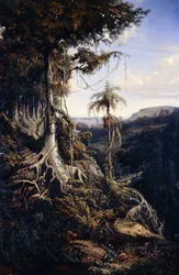 Forêt de Jala-Jala