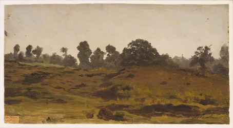 Vue d