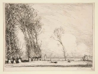 Rideau de peupliers (Vendée)