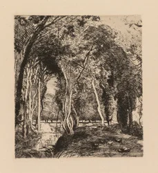 Auguste Lepère : Sous bois, à la Rigonette (Vendée)