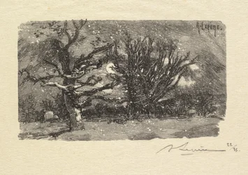 Forêt de Fontainebleau: Au Dormoir de Lantara