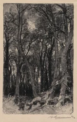 Forêt de Fontainebleau: Le Bas-Bréau