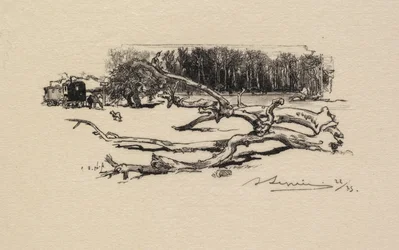 Forêt de Fontainebleau : Carrefour de l
