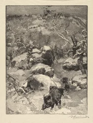 Forêt de Fontainebleau: Roche Cuvier-Châtillon