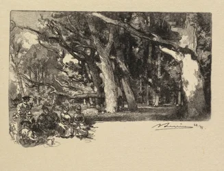 Forêt de Fontainebleau: Midi sous Bois