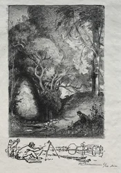 La Ravine en juin