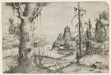 Grand arbre et château sur un lac
