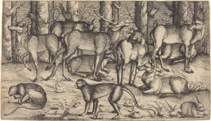 Cerfs dans la Forêt