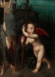 Cupidon avec un myrte, avant 1593