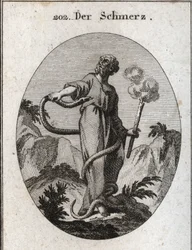 Allégorie de la douleur. Un serpent monstrueux entoure celui qui, après avoir lié ses pieds, gagne son corps et tente de mordre son cœur. Elle tient une torche qui fume encore, ce qui signifie que l