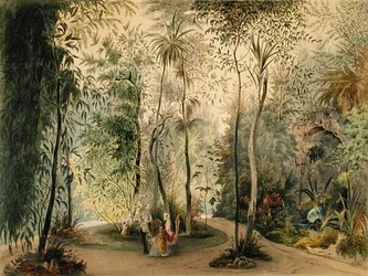 Le jardin d