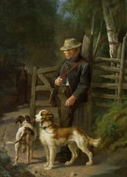Garçon avec des chiens de chasse