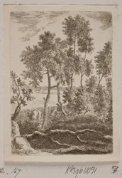 Partie de forêt