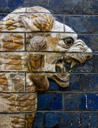 Tête de lion (détail)