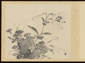 "Élégance raffinée aux quatre saisons" (Shiji seiga), album de peintures de fleurs