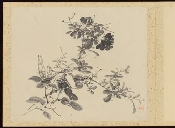 "Élégance raffinée aux quatre saisons" (Shiji seiga), album de peintures de fleurs