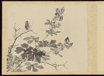 "Élégance raffinée aux quatre saisons" (Shiji seiga), album de peintures de fleurs