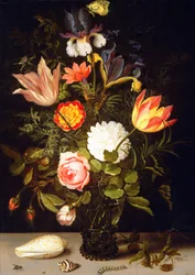 Nature morte de fleurs dans un verre Römer avec deux coquillages