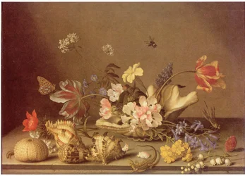 Nature morte de fleurs et de coquillages