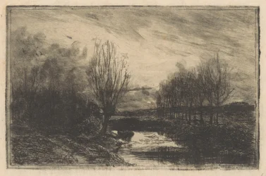 Fossé avec des saules têtards