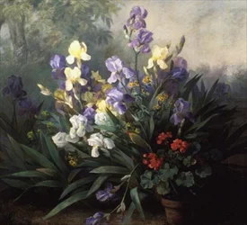 Paysage floral avec des iris