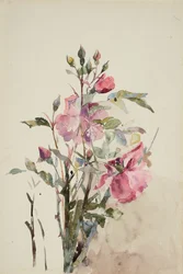 Tiges de fleurs roses