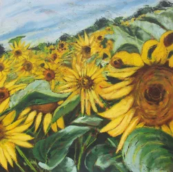 Champ de tournesols dorés