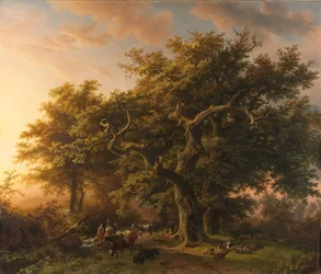 Scène de forêt