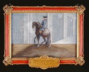 No. 20 Un cheval gris pommelé de l