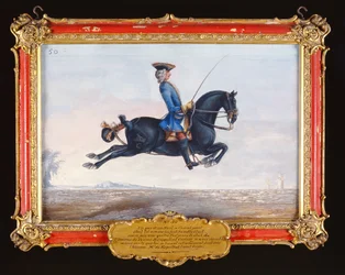 N° 50 Un cheval noir de jais appelé Curioso exécutant un mouvement de dressage appelé capriole